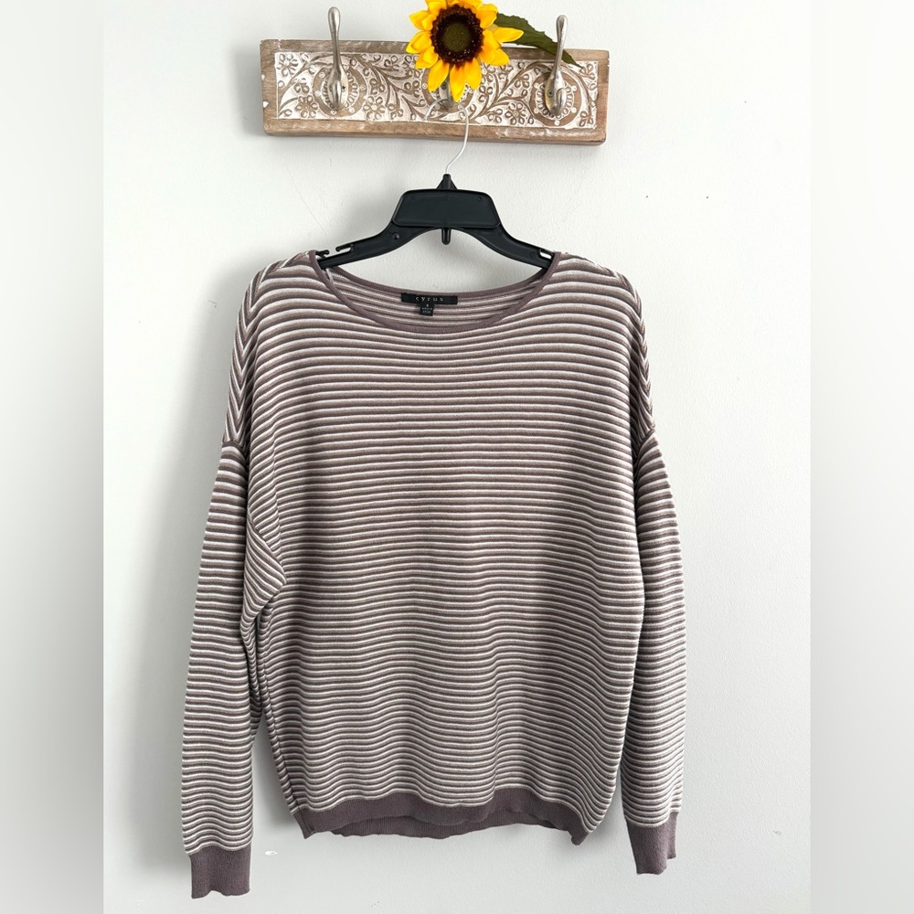 CYRUS Women’s Taupe and Cream Striped Crew Neck Sweater-Size Small